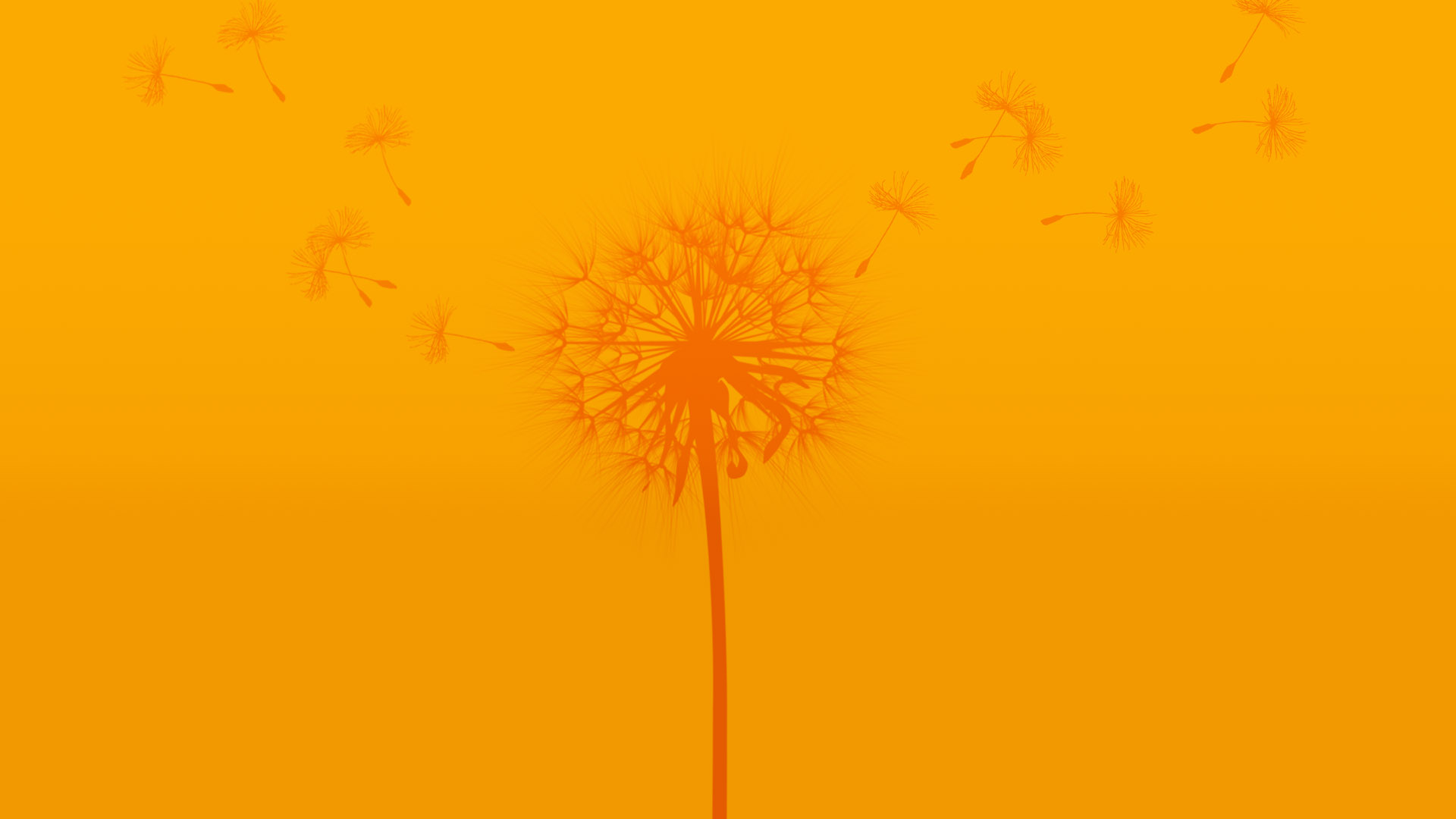 pixabay.com